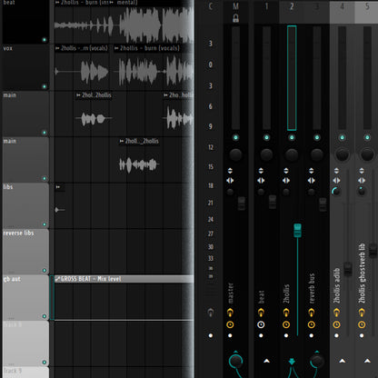 2hollis (Remade FLP, Template, and The Best Stock Master Preset)