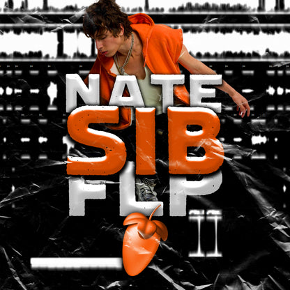 nate sib (Remade FLP, Template, and The Best Stock Master Preset)