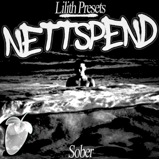 Nettspend- sober (lilith flp, template, main, masters, and theme)